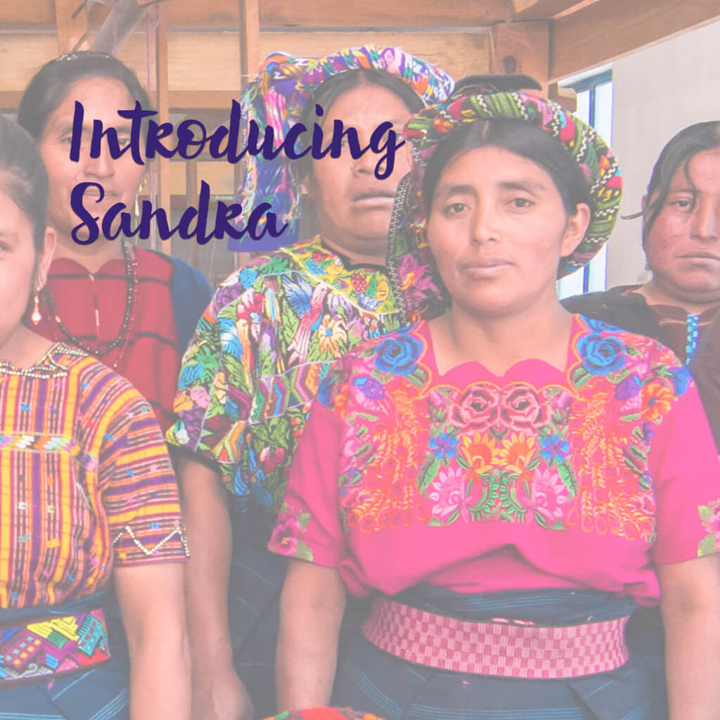 Introducing Sandra