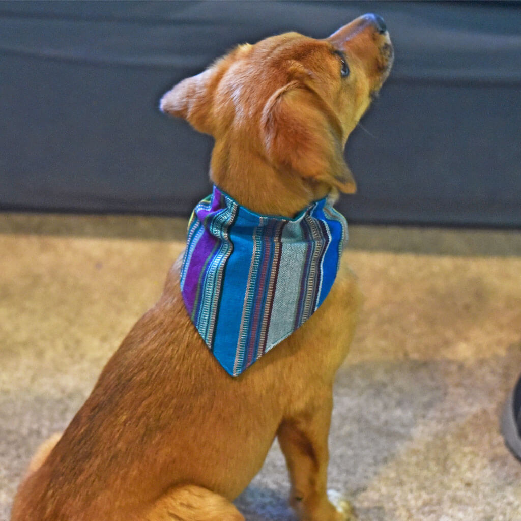 Hand woven Dog Bandana