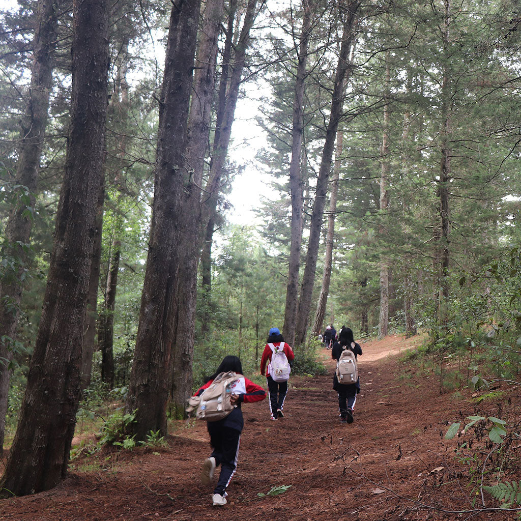 Trees that Help Build Community
