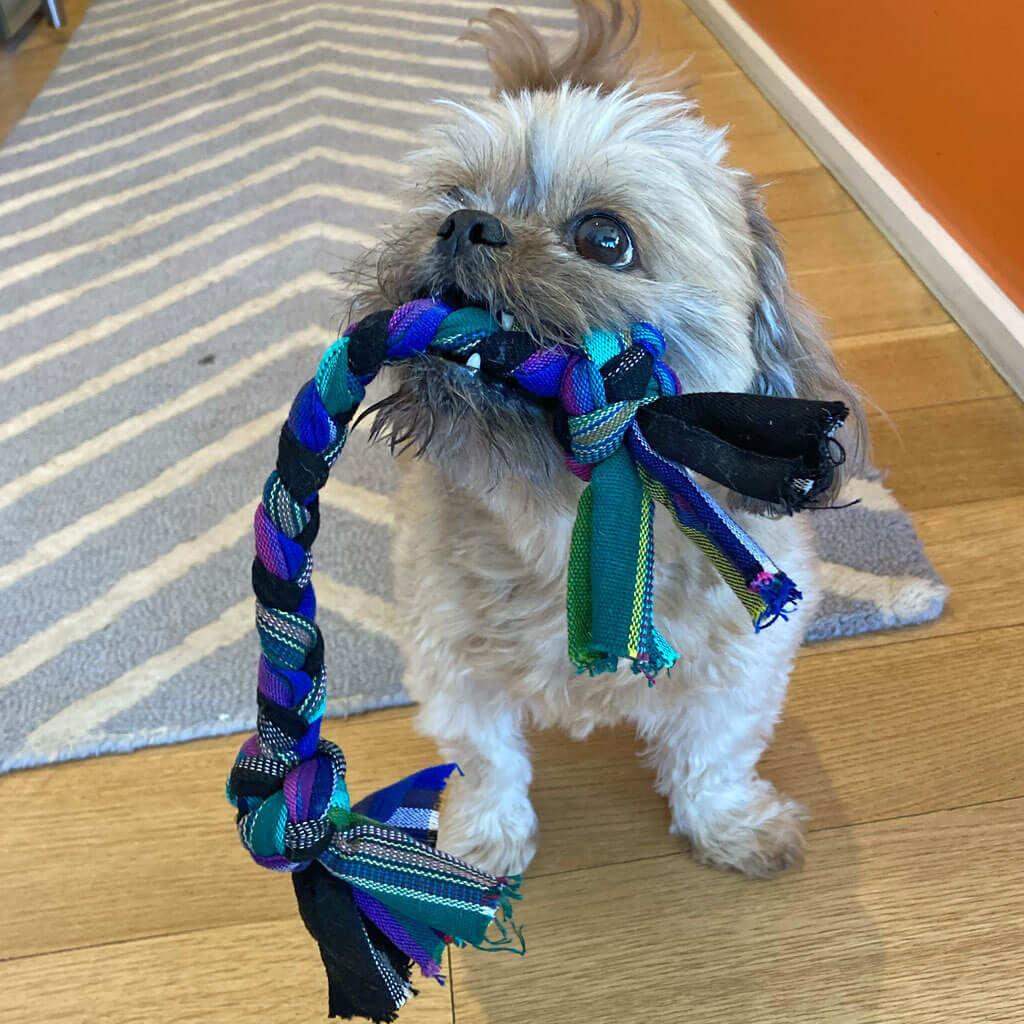 Dog Tug Toy