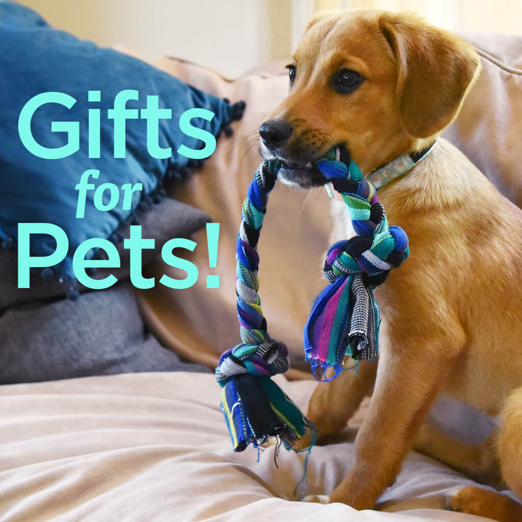 Gifts for Pets
