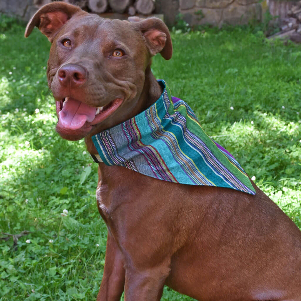 Hand woven Dog Bandana