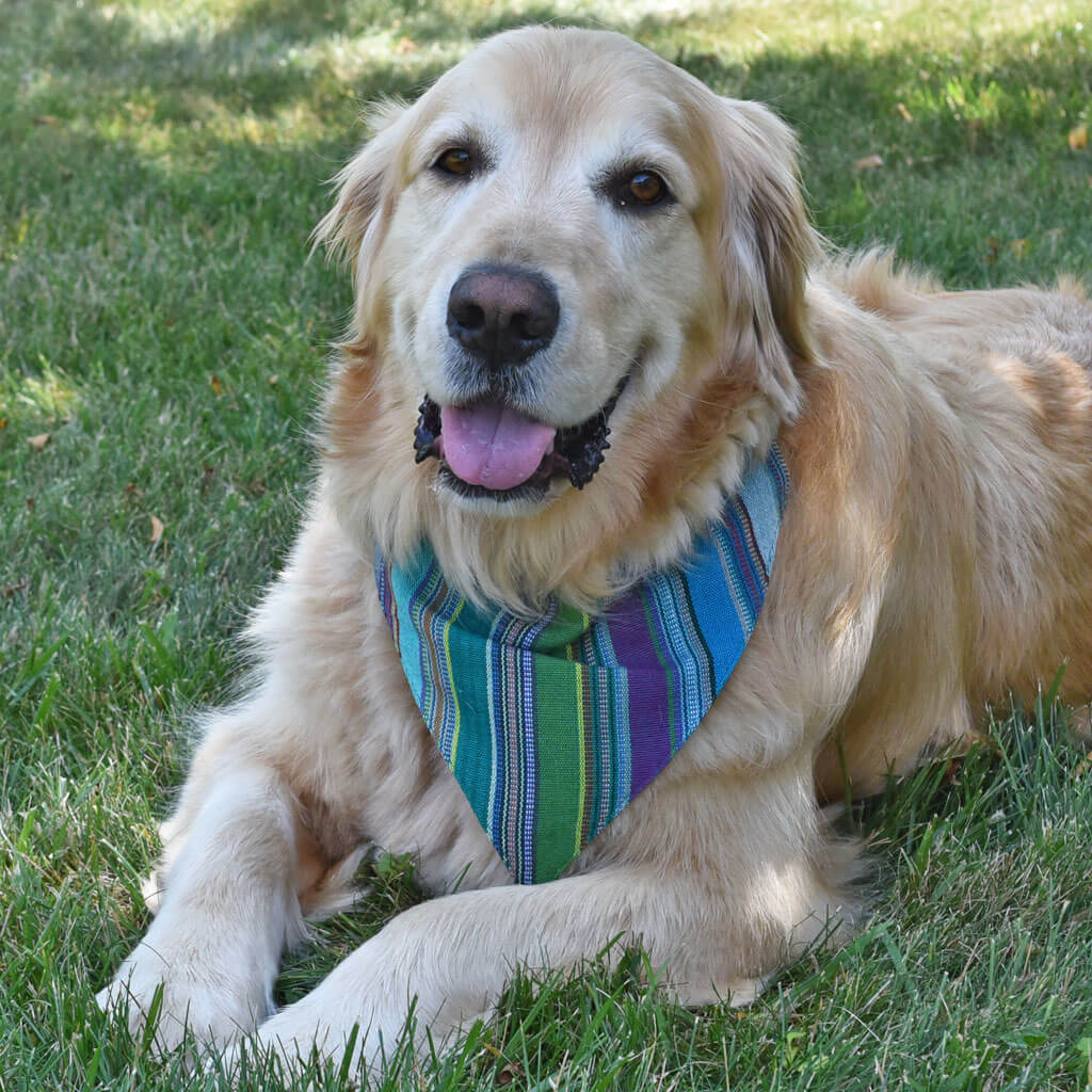 Hand woven Dog Bandana