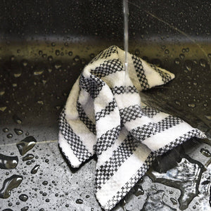 black & white dish cloth in water